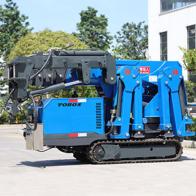 Progetti di costruzione Gru di sollevamento Spider da 16 m con componenti principali